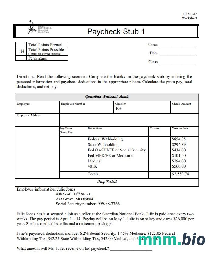 Family Economics & Financial Education paycheck stub Word and PDF template